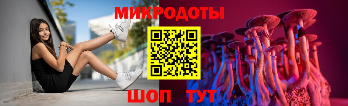 Псилоцибиновые грибы MAGIC MUSHROOMS  Вход с VPN  Славгород 